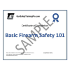 Basic Gun Safety 101 Course Certificate